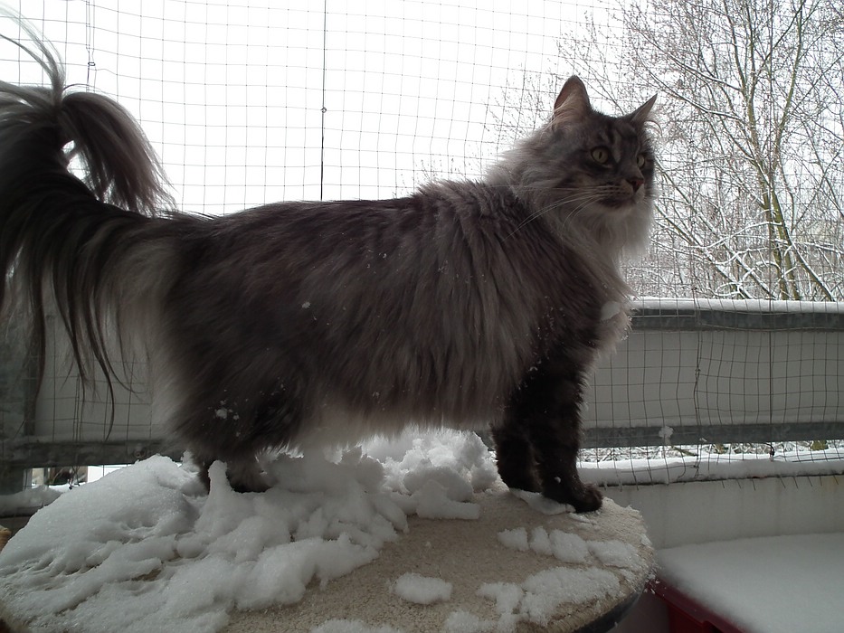 DSCF06391.jpg