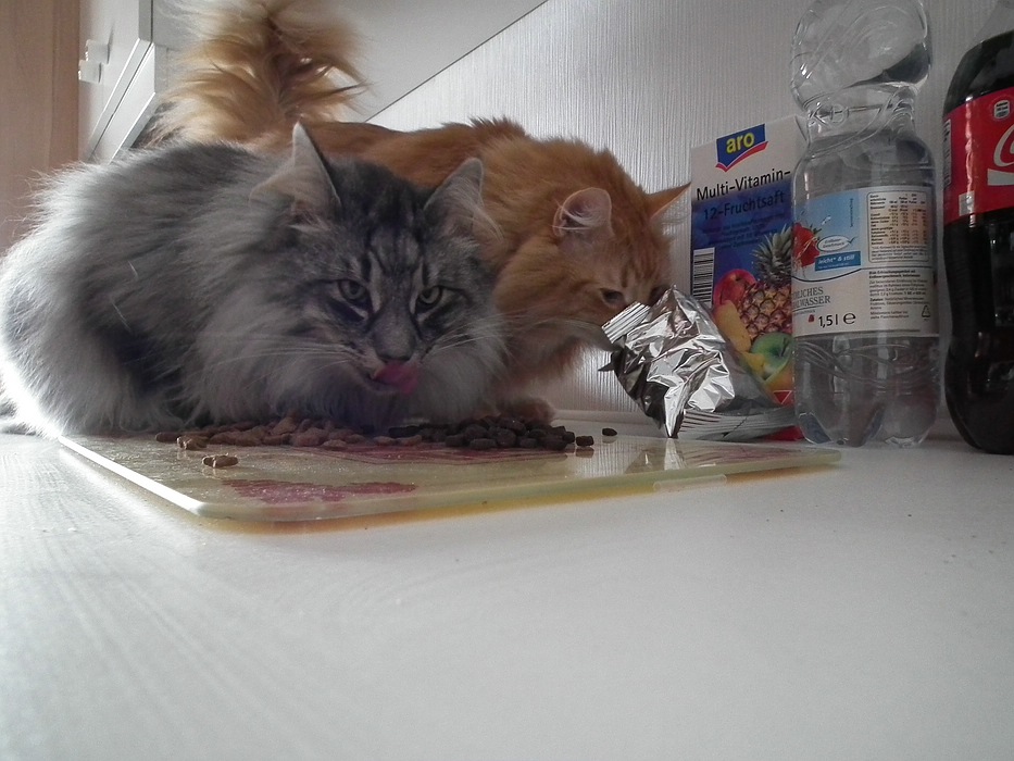 DSCF06811.jpg