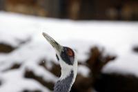 IMG_4074-11.jpg