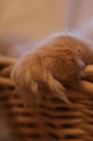 IMG_48611.jpg