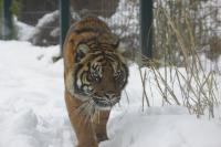 IMG_4568-11.jpg