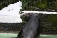 IMG_5038-11.jpg