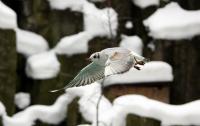 IMG_5050-11.jpg