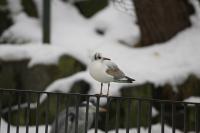 IMG_5055-11.jpg