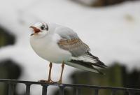 IMG_5064-11.jpg