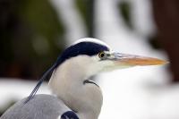 IMG_5104-11.jpg