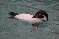 IMG_5114-11.jpg