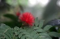 IMG_5120-11.jpg