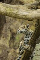 IMG_7889-11.jpg