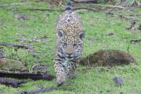 IMG_9947-11.jpg