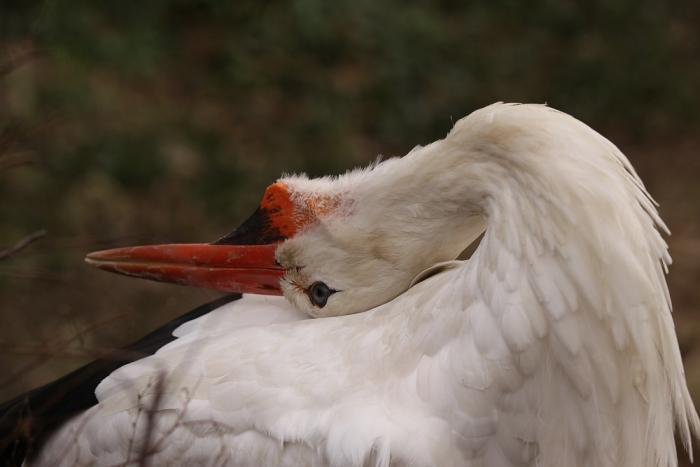 IMG_0728-11.jpg