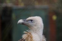 IMG_1078-11.jpg