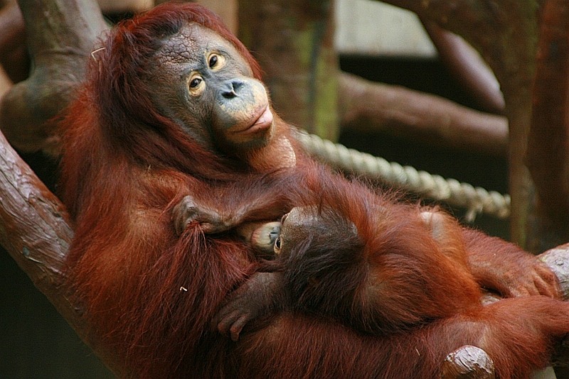lea_sungai250307-1.jpg