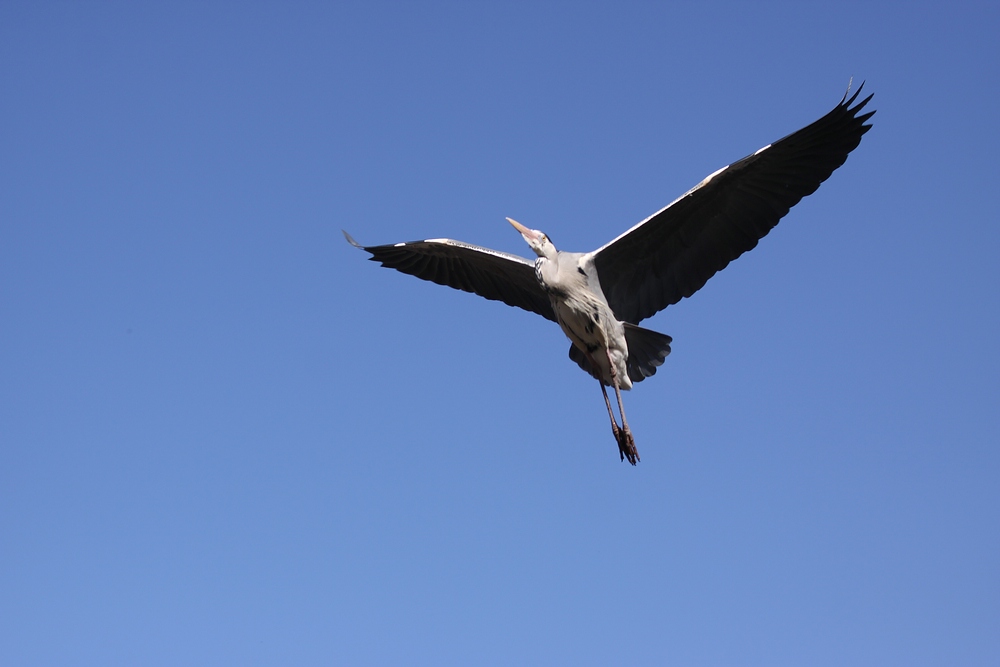 IMG_3508-11.jpg