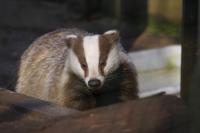 Dortmunder Zoo Maerz 2011