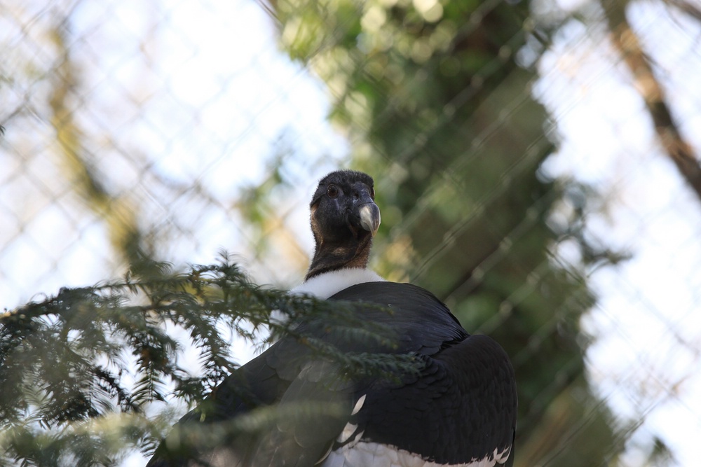 IMG_4123-11.jpg