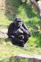 IMG_6319-1.jpg
