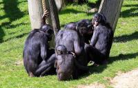 IMG_6561-1.jpg