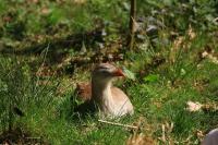 IMG_6636-1.jpg