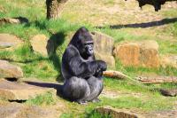 IMG_7076-1.jpg