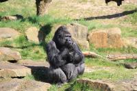 IMG_7089-1.jpg
