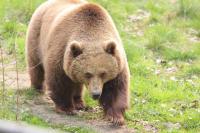 IMG_7508-1-1.jpg