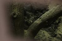 IMG_7653-1-1.jpg