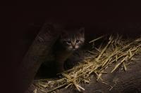 IMG_7654-1-1.jpg