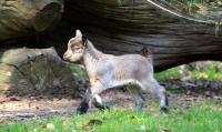 IMG_7764-1-1.jpg