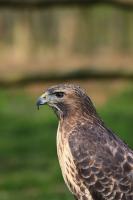 IMG_7821-1-1.jpg