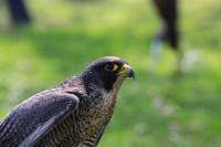 IMG_7851-1-1.jpg