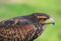 IMG_7885-1-1.jpg