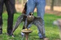 IMG_7944-1-1.jpg