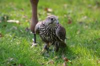 IMG_7961-1-1.jpg