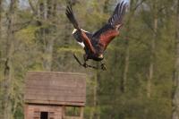 IMG_7997-1-1.jpg