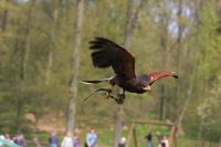 IMG_7998-1-1.jpg