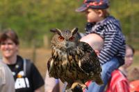 IMG_8001-1-1.jpg