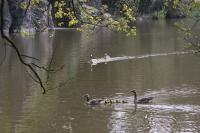 IMG_8022-1-1.jpg