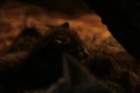 IMG_8136-1-1.jpg