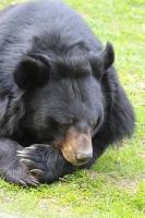 IMG_8195-1-1.jpg