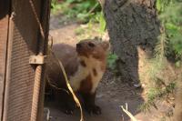 IMG_8258-1-1.jpg
