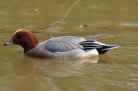 IMG_8322-1-1.jpg