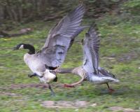 IMG_8363-1-1.jpg