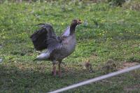 IMG_8370-1-1.jpg