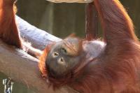 IMG_1474-1.jpg