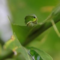 IMG_3015-11.jpg