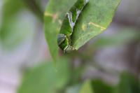 IMG_3031-11.jpg