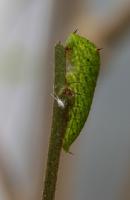 IMG_3090-11.jpg