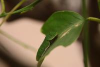 IMG_3101-11.jpg