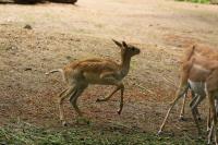 IMG_4543-11.jpg